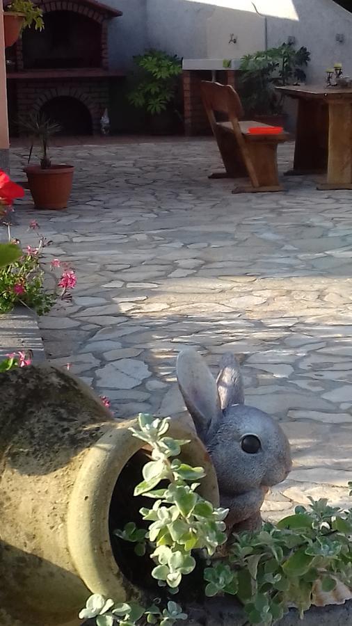 Holiday Home Izabela Krsan Екстер'єр фото